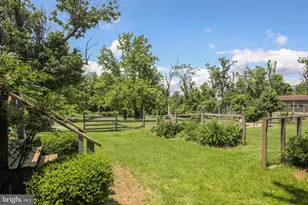 18777 Blueridge Mountain, Bluemont, VA 20135 - Photo 48