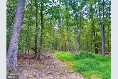 39-A-14 John Mosby Highway, Boyce, VA 22620 - Photo 6