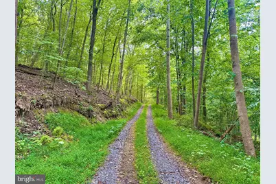 39-A-14 John Mosby Highway, Boyce, VA 22620 - Photo 1