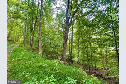 39-A-14 John Mosby Highway, Boyce, VA 22620 - Photo 2