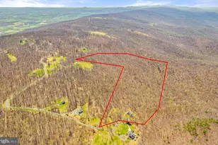 1029 Coulson Ln, Bluemont, VA 20135 - Photo 4
