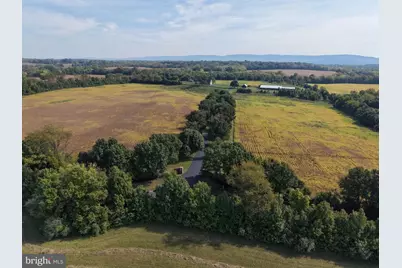 Tract 1: 90.73+/- Acres At 943 Parshall Road, Berryville, VA 22611 - Photo 110