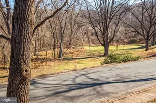 1013 Linden Ave, Charlottesville, VA 22902 - Photo 34