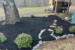 4127 Cabin Rd, Reva, VA 22735 - Photo 2