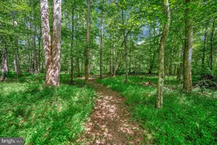 13185 Mill Creek Ct, Reva, VA 22735 - Photo 38