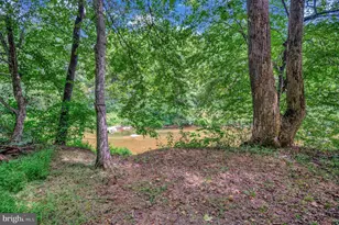 13185 Mill Creek Ct, Reva, VA 22735 - Photo 42