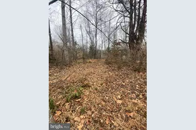 0 Settle School Road, Rixeyville, VA 22737 - Photo 4