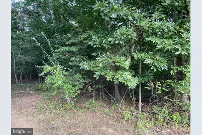 17464 Executive Lane, Culpeper, VA 22701 - Photo 18