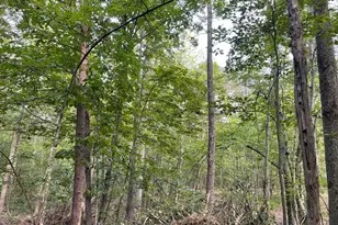 17464 Executive Ln, Culpeper, VA 22701 - Photo 20