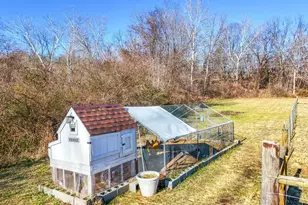 11183 Drogheda Mountain Rd, Rixeyville, VA 22737 - Photo 26