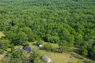 14477 Hazel River Church Rd, Rixeyville, VA 22737 - Photo 6