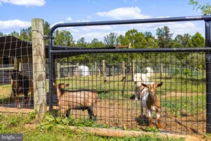 5077 Silver Stone Ln, Rixeyville, VA 22737 - Photo 100