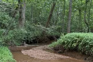 3417 Bear Pond Ln, Amissville, VA 20106 - Photo 50