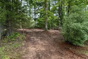 3417 Bear Pond Ln, Amissville, VA 20106 - Photo 54