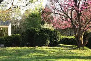 24511 Peacock Ln, Rapidan, VA 22733 - Photo 8