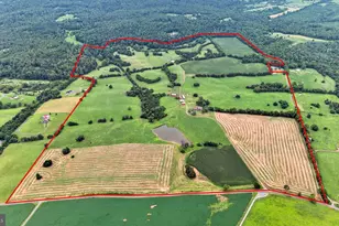 9534 Spring Hill, Rixeyville, VA 22737 - Photo 1