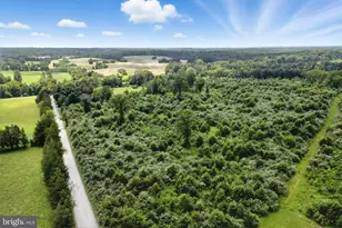 18172 Youngs Ln, Elkwood, VA 22718 - Photo 40