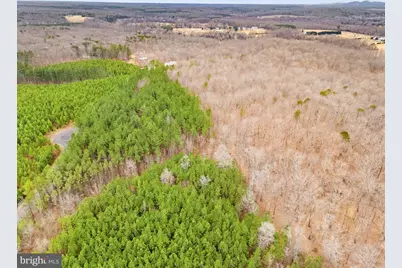 Dragoon Road, Culpeper, VA 22701 - Photo 14