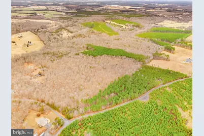 Dragoon Road, Culpeper, VA 22701 - Photo 6