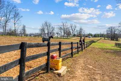 6478 Laurel Hill Lane, Rixeyville, VA 22737 - Photo 38