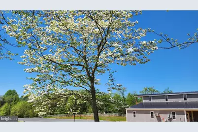 6478 Laurel Hill Lane, Rixeyville, VA 22737 - Photo 44