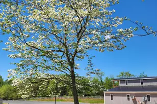 6478 Laurel Hill Ln, Rixeyville, VA 22737 - Photo 44