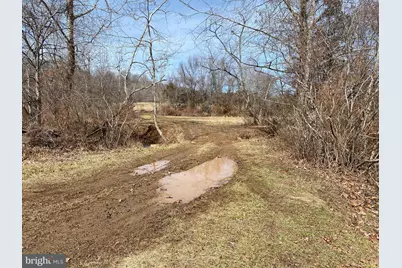 19197 Whites Farm Lane, Culpeper, VA 22701 - Photo 12