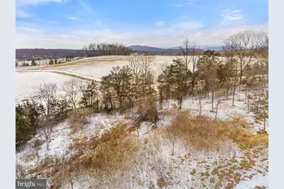 33A Docs Road, Culpeper, VA 22701 - Photo 8