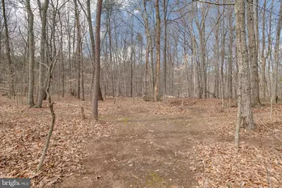 20174 Edwards Shop Road, Elkwood, VA 22718 - Photo 32