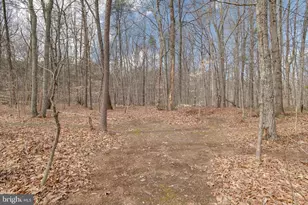20174 Edwards Shop Rd, Elkwood, VA 22718 - Photo 32