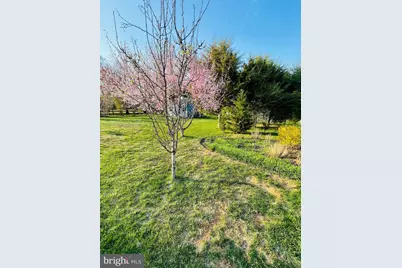 14220 Belle Avenue, Culpeper, VA 22701 - Photo 24