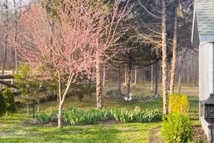 14220 Belle Ave, Culpeper, VA 22701 - Photo 16