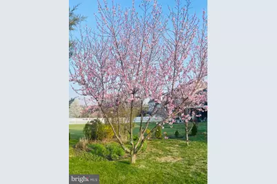 14220 Belle Avenue, Culpeper, VA 22701 - Photo 18