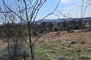 11419 Twin Mountains Rd, Rapidan, VA 22733 - Photo 1