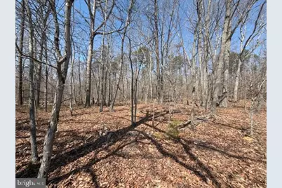 Countryside Lane - Lot 1, Lignum, VA 22726 - Photo 1