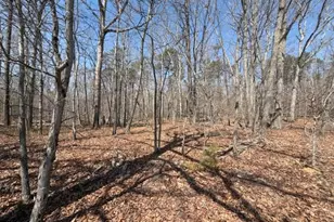Countryside Ln - Lot 1, Lignum, VA 22726 - Photo 1