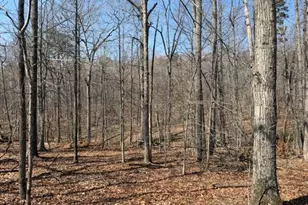 Countryside Ln - Lot 3, Lignum, VA 22726 - Photo 1
