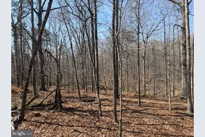 Countryside Lane - Lot 4, Lignum, VA 22726 - Photo 1