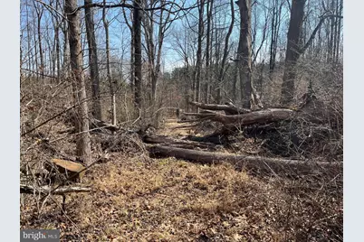 18491 Clayhill Road, Stevensburg, VA 22741 - Photo 6