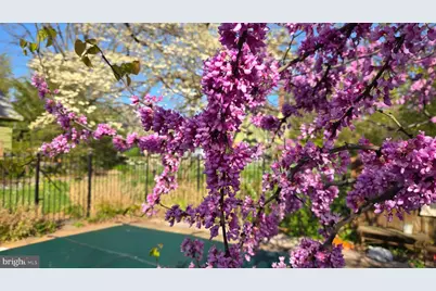 802 S Blue Ridge Avenue, Culpeper, VA 22701 - Photo 92