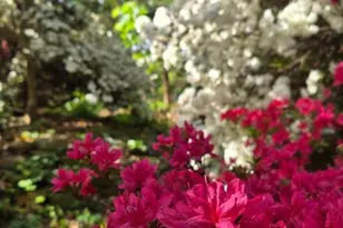 802 S Blue Ridge Ave, Culpeper, VA 22701 - Photo 94