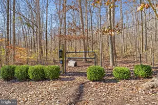 19388 Manor Dr, Culpeper, VA 22701 - Photo 68