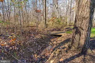 19388 Manor Dr, Culpeper, VA 22701 - Photo 62