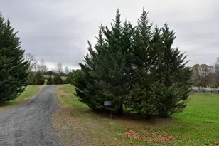 6277 Griffinsburg Rd, Boston, VA 22713 - Photo 20