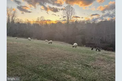 10468 La Grant Lane, Culpeper, VA 22701 - Photo 32