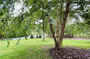 1474 Freeman Dr, Amissville, VA 20106 - Photo 40