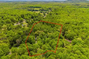 19106 Loggers Rd, Culpeper, VA 22701 - Photo 38