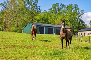 11194 Homeland Rd, Rixeyville, VA 22737 - Photo 148