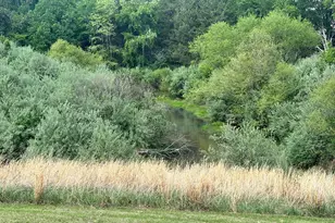 16390 Wayland Rd, Culpeper, VA 22701 - Photo 16