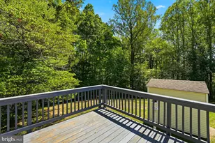 11057 Eggbornsville Rd, Rixeyville, VA 22737 - Photo 36